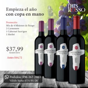 Mix Misiones de Rengo tintos
